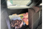 2023 Ford Kuga, Dyzelinas